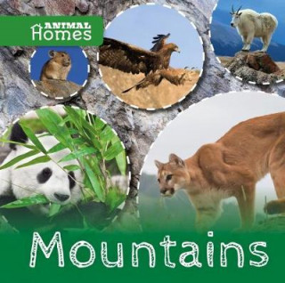 Βιβλίο Mountains Holly Duhig