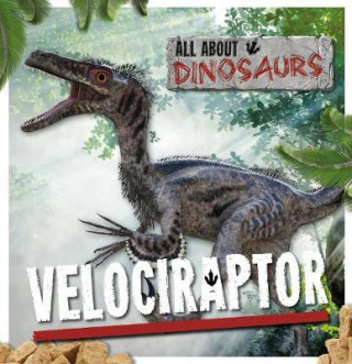 Könyv Velociraptor Mike Clark