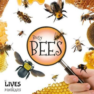 Kniha Busy Bees Holly Duhig
