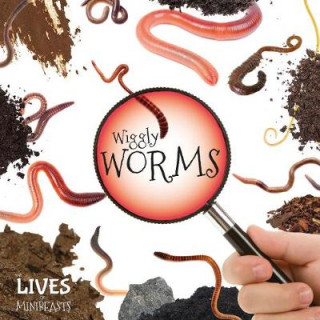 Książka Wiggly Worms Holly Duhig