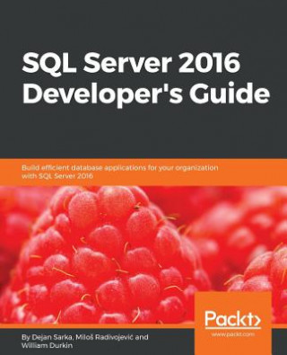 Kniha SQL Server 2016 Developer's Guide Dejan Sarka