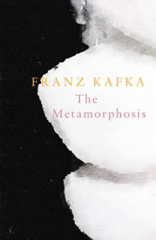 Kniha Metamorphosis (Legend Classics) Franz Kafka
