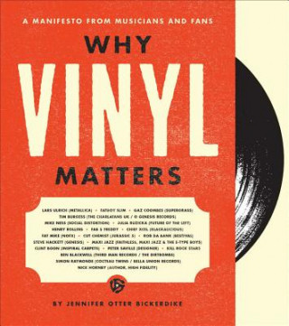 Knjiga Why Vinyl Matters Jennifer Otter Bickerdike