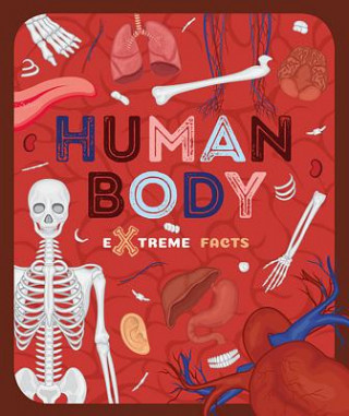 Книга Human Body Steffi Cavell-Clarke