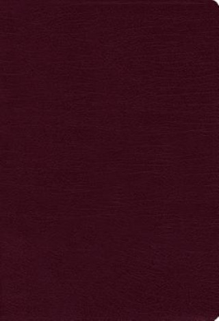 Книга NIV, Thinline Bible, Bonded Leather, Burgundy, Red Letter Edition Zondervan