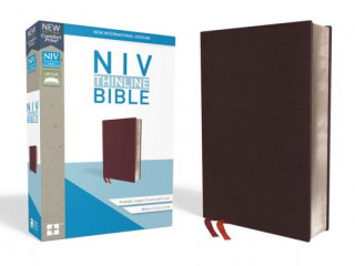 Kniha NIV, Thinline Bible, Bonded Leather, Burgundy, Indexed, Red Letter Edition Zondervan
