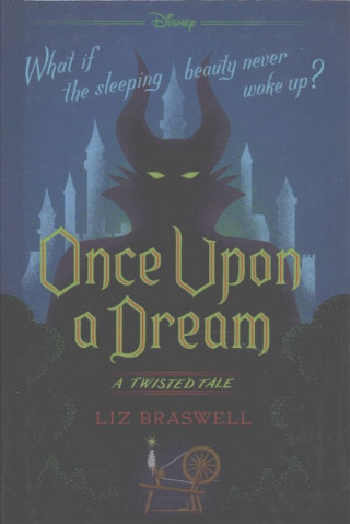 Kniha ONCE UPON A DREAM Liz Braswell