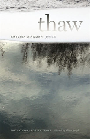 Book Thaw Chelsea Dingman