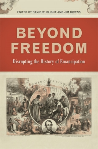 Kniha Beyond Freedom Eric Foner