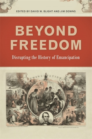 Knjiga Beyond Freedom Eric Foner