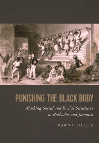 Kniha Punishing the Black Body Dawn Harris