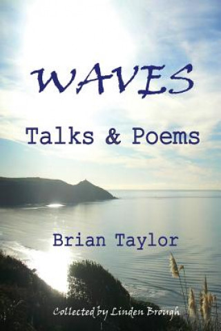 Kniha Waves Brian Taylor