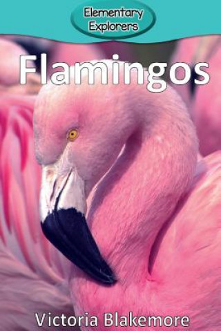 Könyv Flamingos Victoria Blakemore