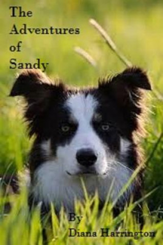 Carte Adventures of Sandy, Part I Diana Harrington