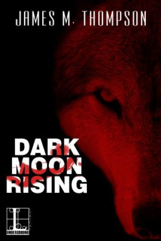 Kniha Dark Moon Rising James M. Thompson