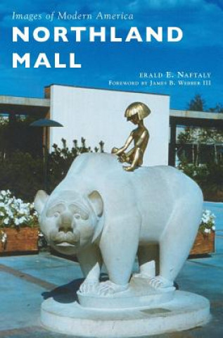 Książka NORTHLAND MALL Gerald E. Naftaly