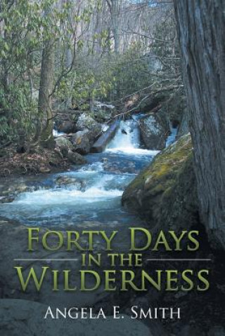 Buch Forty Days in the Wilderness Angela E. Smith