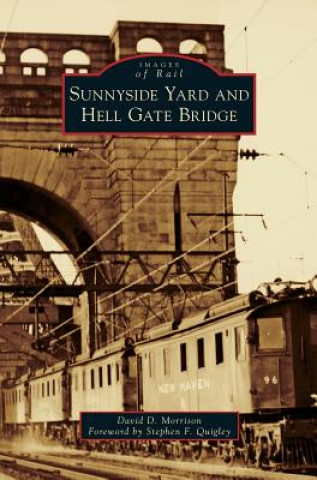 Kniha SUNNYSIDE YARD & HELL GATE BRI David D. Morrison