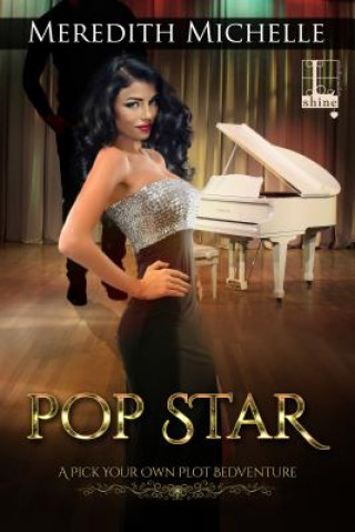 Kniha Pop Star Meredith Michelle