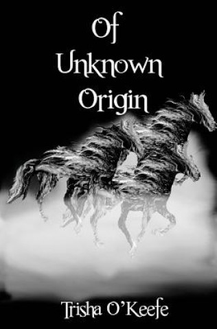 Book Of Unknown Origin Trisha O'Keefe