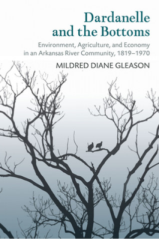 Könyv Dardanelle and the Bottoms Mildred D. Gleason
