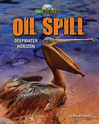 Book Oil Spill: Deepwater Horizon Meish Goldish