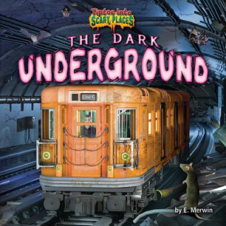 Book The Dark Underground E. Merwin