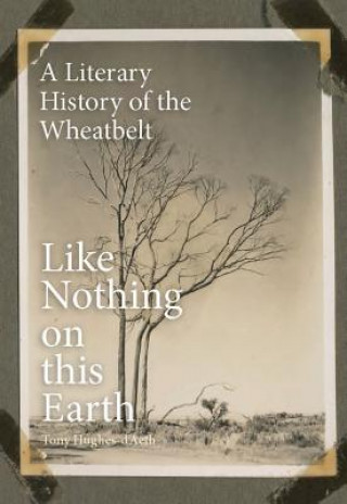 Könyv Like Nothing on this Earth Tony Hughes-D'Aeth