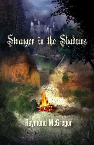Книга Stranger in the Shadows Raymond McGregor