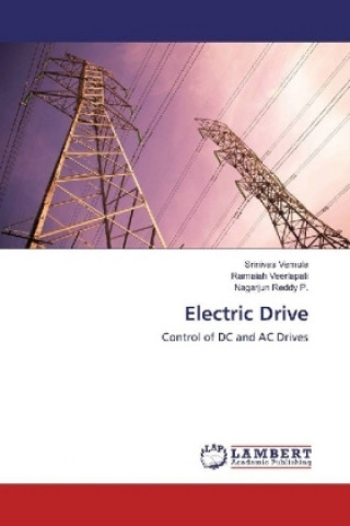 Könyv Electric Drive Srinivas Vemula