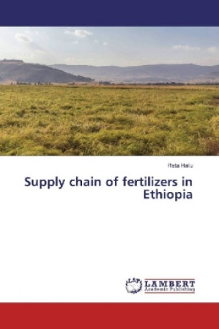 Könyv Supply chain of fertilizers in Ethiopia Reta Hailu