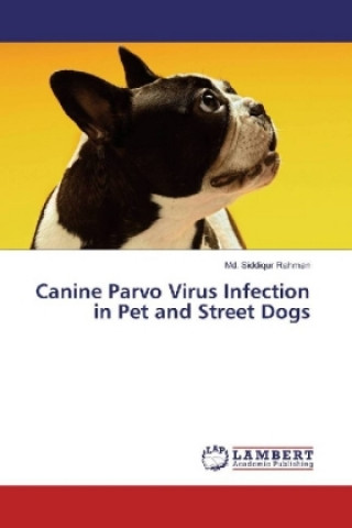 Książka Canine Parvo Virus Infection in Pet and Street Dogs Md. Siddiqur Rahman