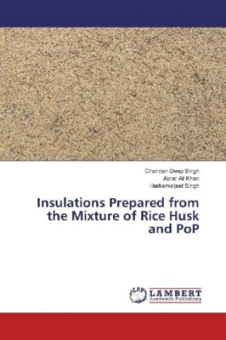 Könyv Insulations Prepared from the Mixture of Rice Husk and PoP Chandan Deep Singh