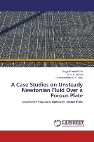 Kniha A Case Studies on Unsteady Newtonian Fluid Over a Porous Plate Durga Prasad Putta