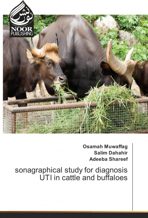 Kniha sonagraphical study for diagnosis UTI in cattle and buffaloes Osamah Muwaffag