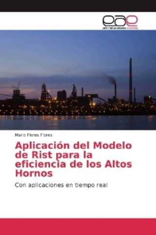 Book Aplicación del Modelo de Rist para la eficiencia de los Altos Hornos Mario Flores Flores