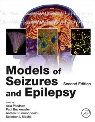 Kniha Models of Seizures and Epilepsy Asla Pitkänen
