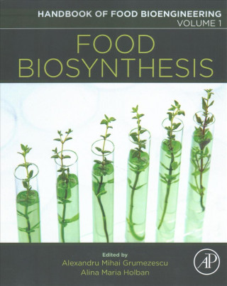 Carte Food Biosynthesis Alexandru Grumezescu