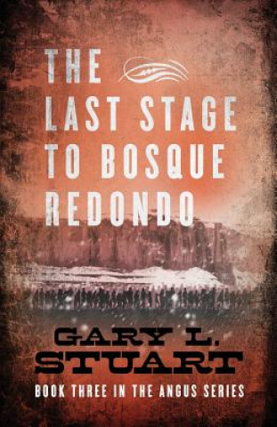 Kniha The Last Stage to Bosque Redono Gary L. Stuart