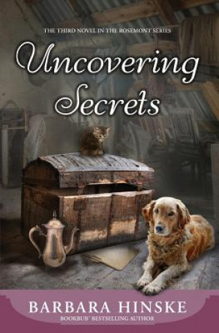 Kniha Uncovering Secrets Barbara Hinske