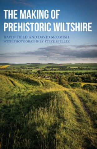 Carte Making of Prehistoric Wiltshire David Field