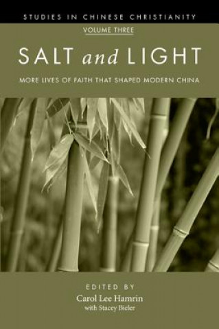 Carte Salt and Light, Volume 3 Stacey Bieler