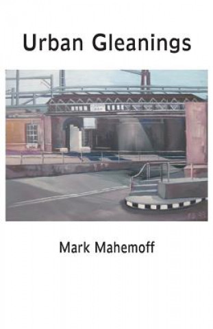Boek Urban Gleanings Mark Mahemoff