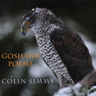 Könyv Goshawk Poems Colin Simms