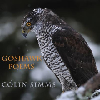 Βιβλίο Goshawk Poems Colin Simms