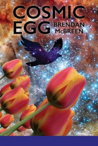 Kniha Cosmic Egg Brendan McBreen