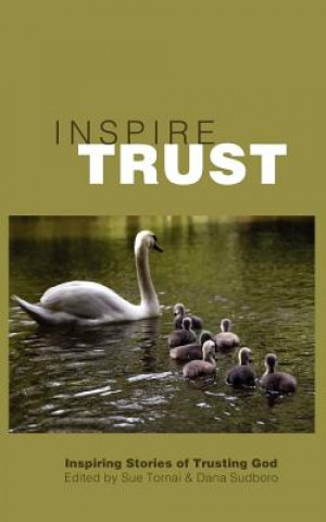 Kniha Inspire Trust Dana Sudboro