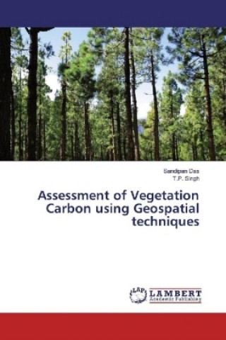 Книга Assessment of Vegetation Carbon using Geospatial techniques Sandipan Das