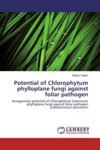 Carte Potential of Chlorophytum phylloplane fungi against foliar pathogen Shikha Thakur