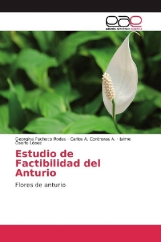 Kniha Estudio de Factibilidad del Anturio Georgina Pacheco Rodas